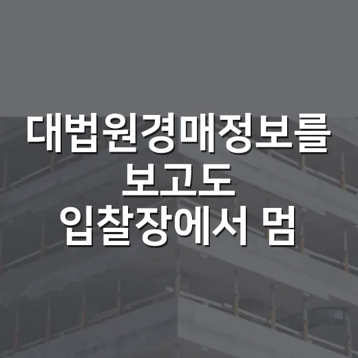 대법원경매정보를 보고도 입찰장에서 멈춘 이유 - 요약