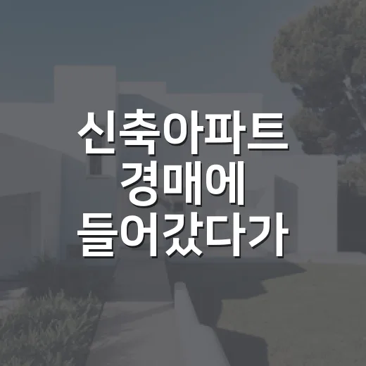 신축아파트 경매에 들어갔다가 계산이 달라진 날 - 요약