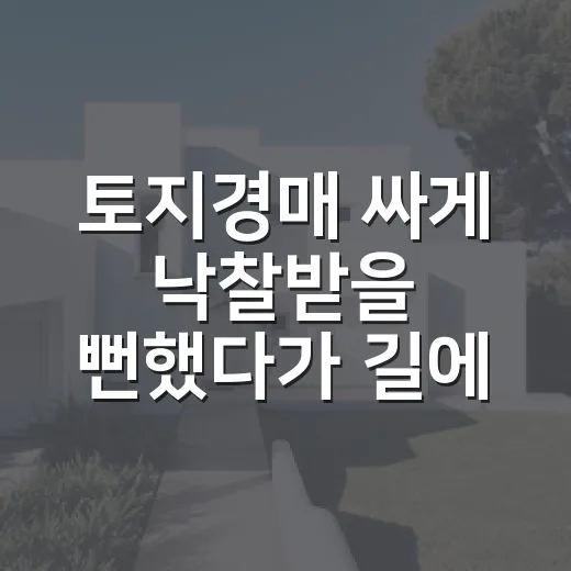 토지경매 싸게 낙찰받을 뻔했다가 길에서 멈췄다 - 요약