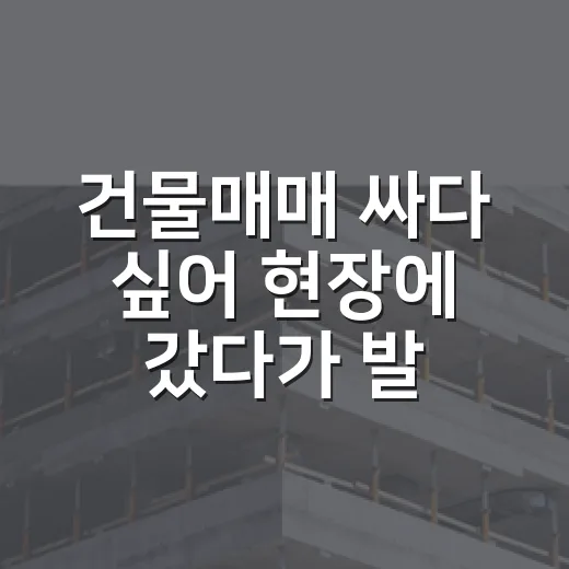 건물매매 싸다 싶어 현장에 갔다가 발길 돌린 이야기 - 요약