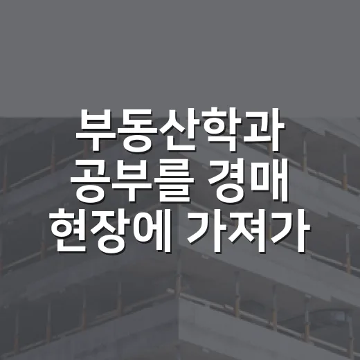 부동산학과 공부를 경매 현장에 가져가 봤더니 - 요약