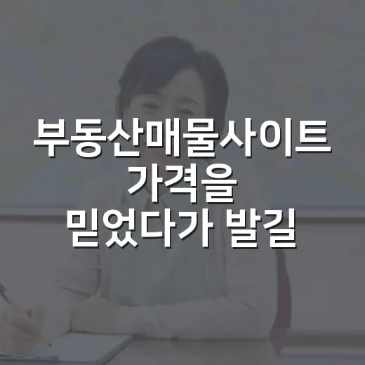 부동산매물사이트 가격을 믿었다가 발길을 돌린 날 - 요약