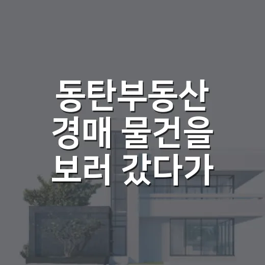 동탄부동산 경매 물건을 보러 갔다가 입찰을 접은 이유 - 요약