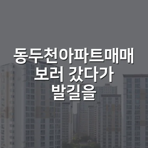 동두천아파트매매 보러 갔다가 발길을 돌린 이유 - 요약