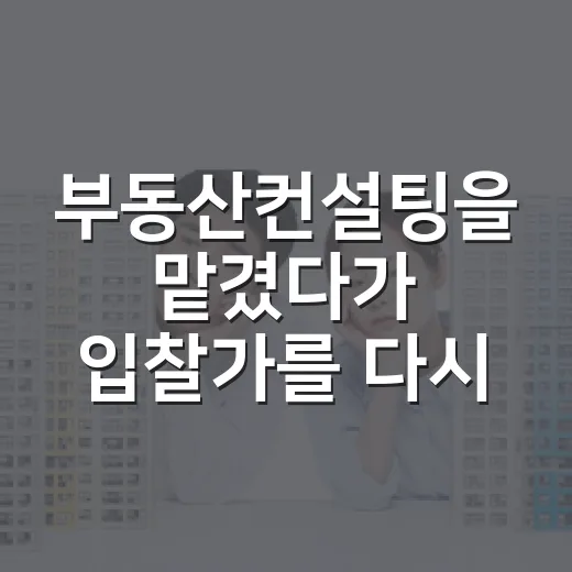부동산컨설팅을 맡겼다가 입찰가를 다시 쓴 이유 - 요약