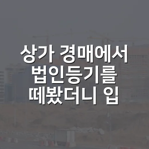 상가 경매에서 법인등기를 떼봤더니 입찰가가 달라졌다 - 요약