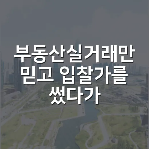 부동산실거래만 믿고 입찰가를 썼다가 멈춘 이유 - 요약
