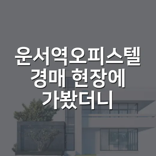 운서역오피스텔 경매 현장에 가봤더니 숫자가 달랐다 - 요약