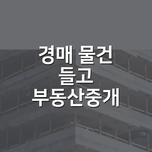 경매 물건 들고 부동산중개 사무소를 돌았더니 - 요약