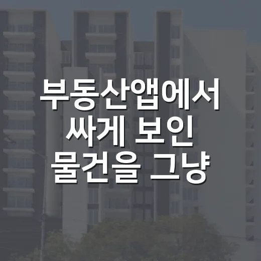 부동산앱에서 싸게 보인 물건을 그냥 넘긴 이유 - 요약