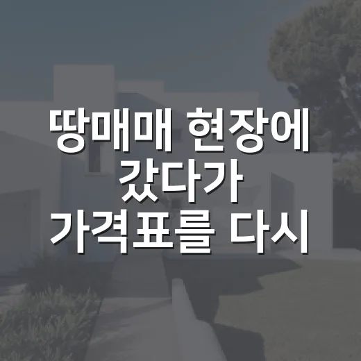 땅매매 현장에 갔다가 가격표를 다시 본 이유 - 요약