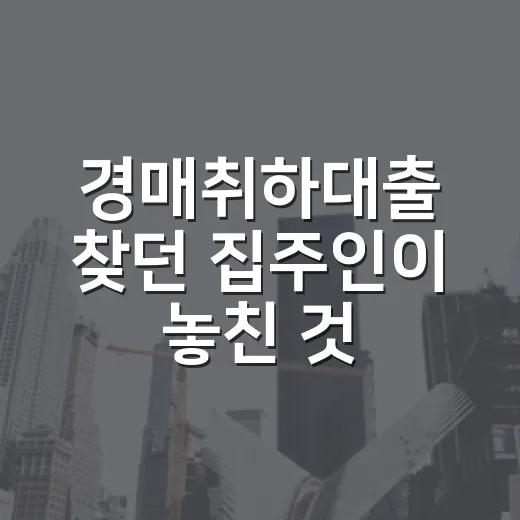경매취하대출 찾던 집주인이 놓친 것 - 요약