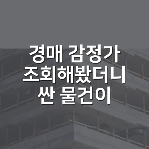 경매 감정가 조회해봤더니 싼 물건이 아니었다 - 요약