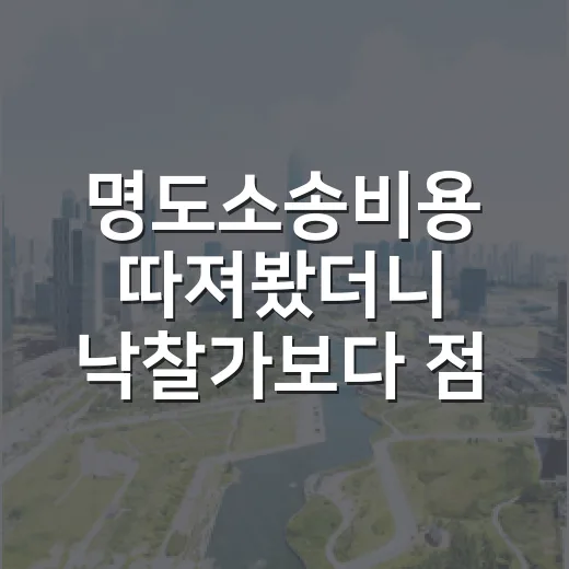 명도소송비용 따져봤더니 낙찰가보다 점유가 문제였다 - 요약