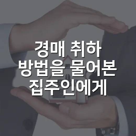 경매 취하 방법을 물어본 집주인에게 먼저 확인한 것 - 요약