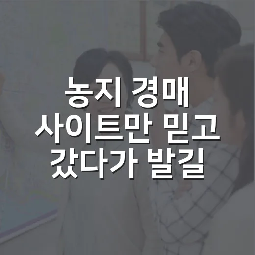 농지 경매 사이트만 믿고 갔다가 발길 돌린 날 - 요약