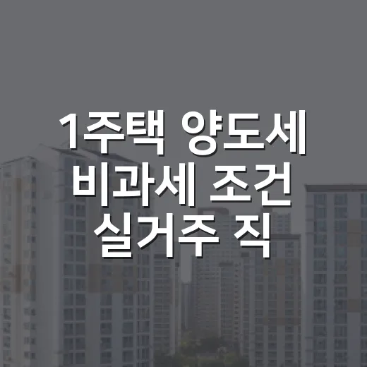 1주택 양도세 비과세 조건 실거주 직접 따져봤더니 - 요약