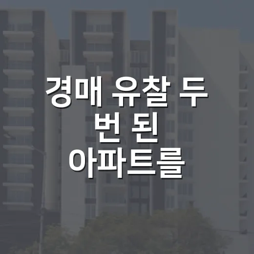 경매 유찰 두 번 된 아파트를 따라가 봤더니 - 요약