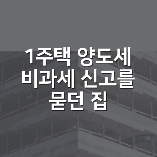 1주택 양도세 비과세 신고를 묻던 집주인의 착각 - 요약
