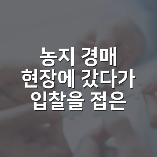 농지 경매 현장에 갔다가 입찰을 접은 이유 - 요약
