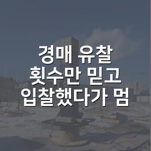 경매 유찰 횟수만 믿고 입찰했다가 멈춘 이유 - 요약