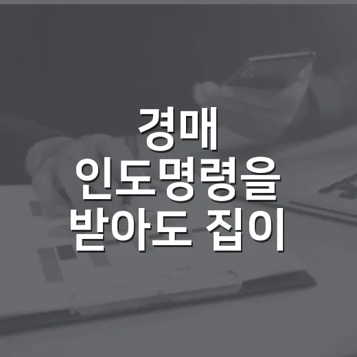 경매 인도명령을 받아도 집이 비지 않았던 날 - 요약