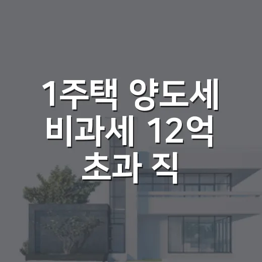 1주택 양도세 비과세 12억 초과 직접 계산해봤더니 - 요약