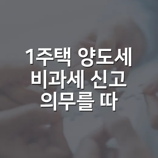1주택 양도세 비과세 신고 의무를 따져봤더니 - 요약