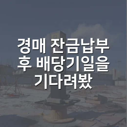 경매 잔금납부 후 배당기일을 기다려봤더니 - 요약