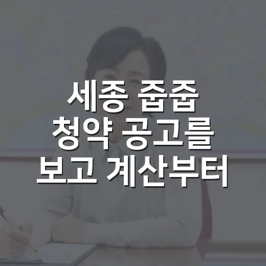 세종 줍줍 청약 공고를 보고 계산부터 해봤더니 - 요약