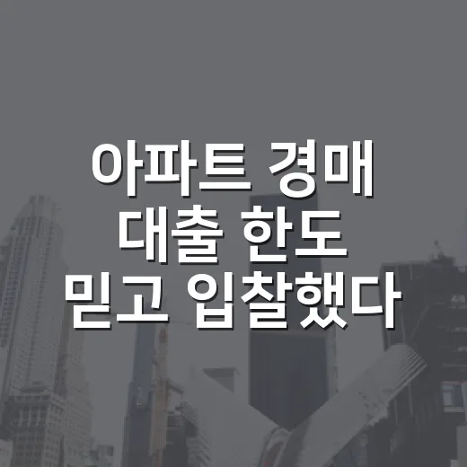 아파트 경매 대출 한도 믿고 입찰했다가 식은땀 났다 - 요약