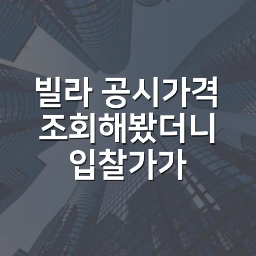 빌라 공시가격 조회해봤더니 입찰가가 달라졌다 - 요약