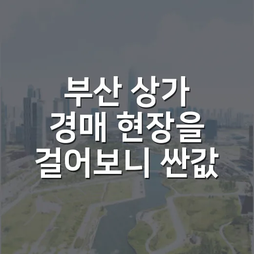 부산 상가 경매 현장을 걸어보니 싼값이 달리 보였다 - 요약