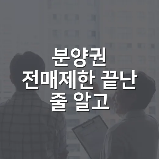 분양권 전매제한 끝난 줄 알고 계약할 뻔했다 - 요약