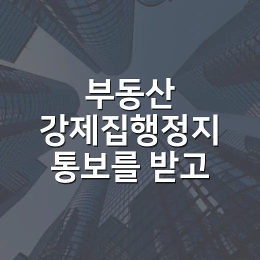 부동산 강제집행정지 통보를 받고 입찰을 멈춘 이유 - 요약