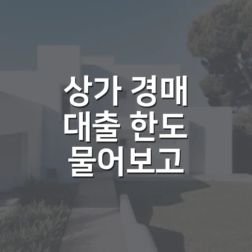 상가 경매 대출 한도 물어보고 입찰가를 바꿨다 - 요약