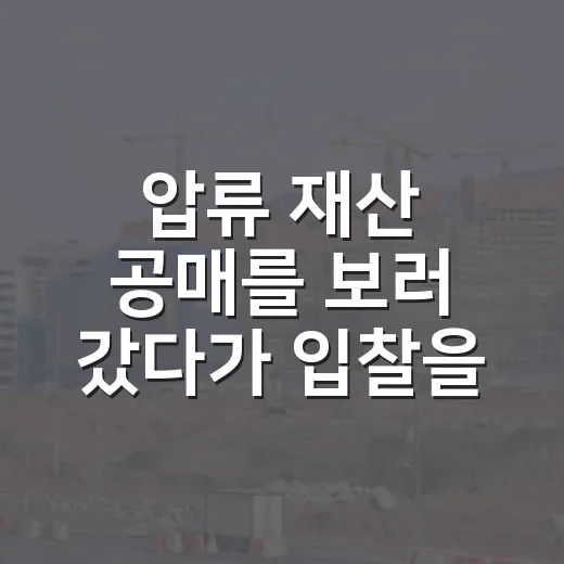 압류 재산 공매를 보러 갔다가 입찰을 접은 이유 - 요약