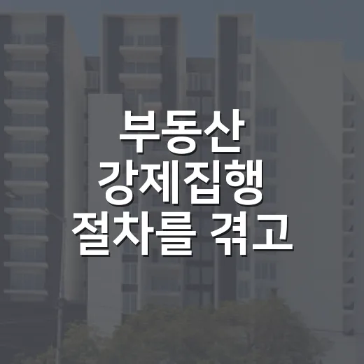 부동산 강제집행 절차를 겪고 달라진 입찰 기준 - 요약