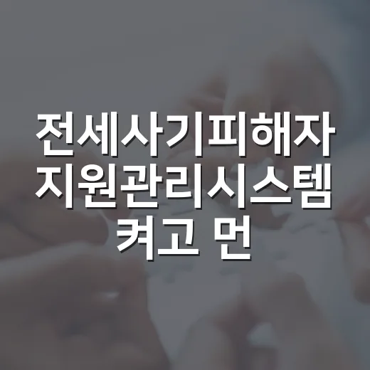 전세사기피해자 지원관리시스템 켜고 먼저 확인한 것 - 요약
