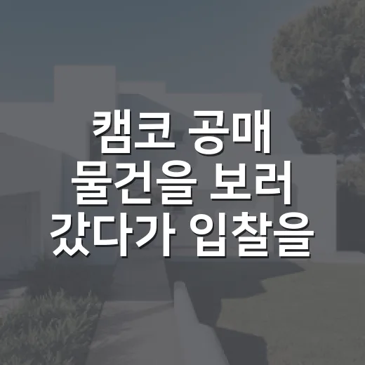 캠코 공매 물건을 보러 갔다가 입찰을 접은 이유 - 요약