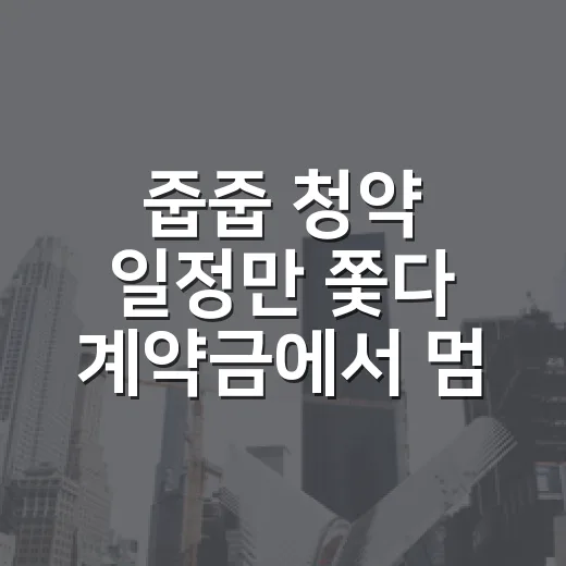줍줍 청약 일정만 쫓다 계약금에서 멈춘 날 - 요약