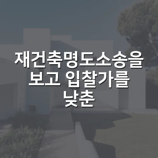 재건축명도소송을 보고 입찰가를 낮춘 이유 - 요약
