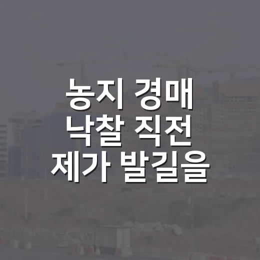 농지 경매 낙찰 직전 제가 발길을 돌린 이유 - 요약
