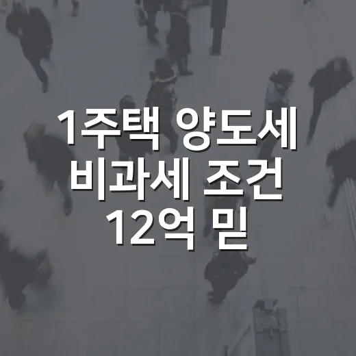1주택 양도세 비과세 조건 12억 믿고 계산해봤더니 - 요약