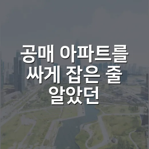 공매 아파트를 싸게 잡은 줄 알았던 날 - 요약