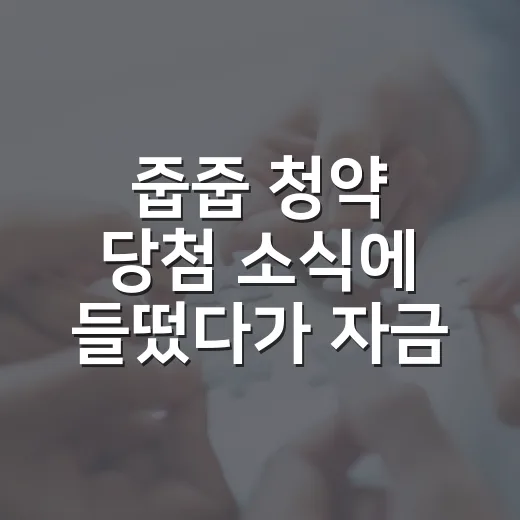 줍줍 청약 당첨 소식에 들떴다가 자금표를 다시 봤다 - 요약
