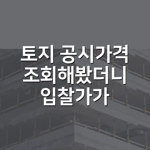 토지 공시가격 조회해봤더니 입찰가가 달라졌다 - 요약