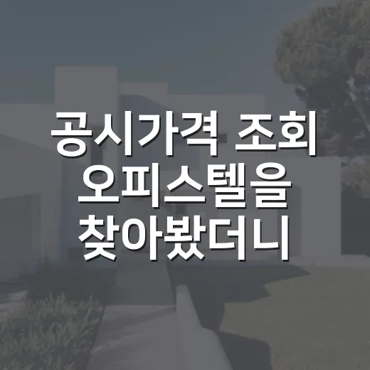 공시가격 조회 오피스텔을 찾아봤더니 다른 값이 나왔다 - 요약