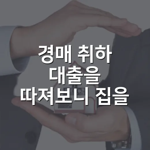경매 취하 대출을 따져보니 집을 지키는 돈이 더 들었다 - 요약
