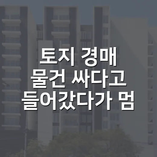 토지 경매 물건 싸다고 들어갔다가 멈춘 이유 - 요약